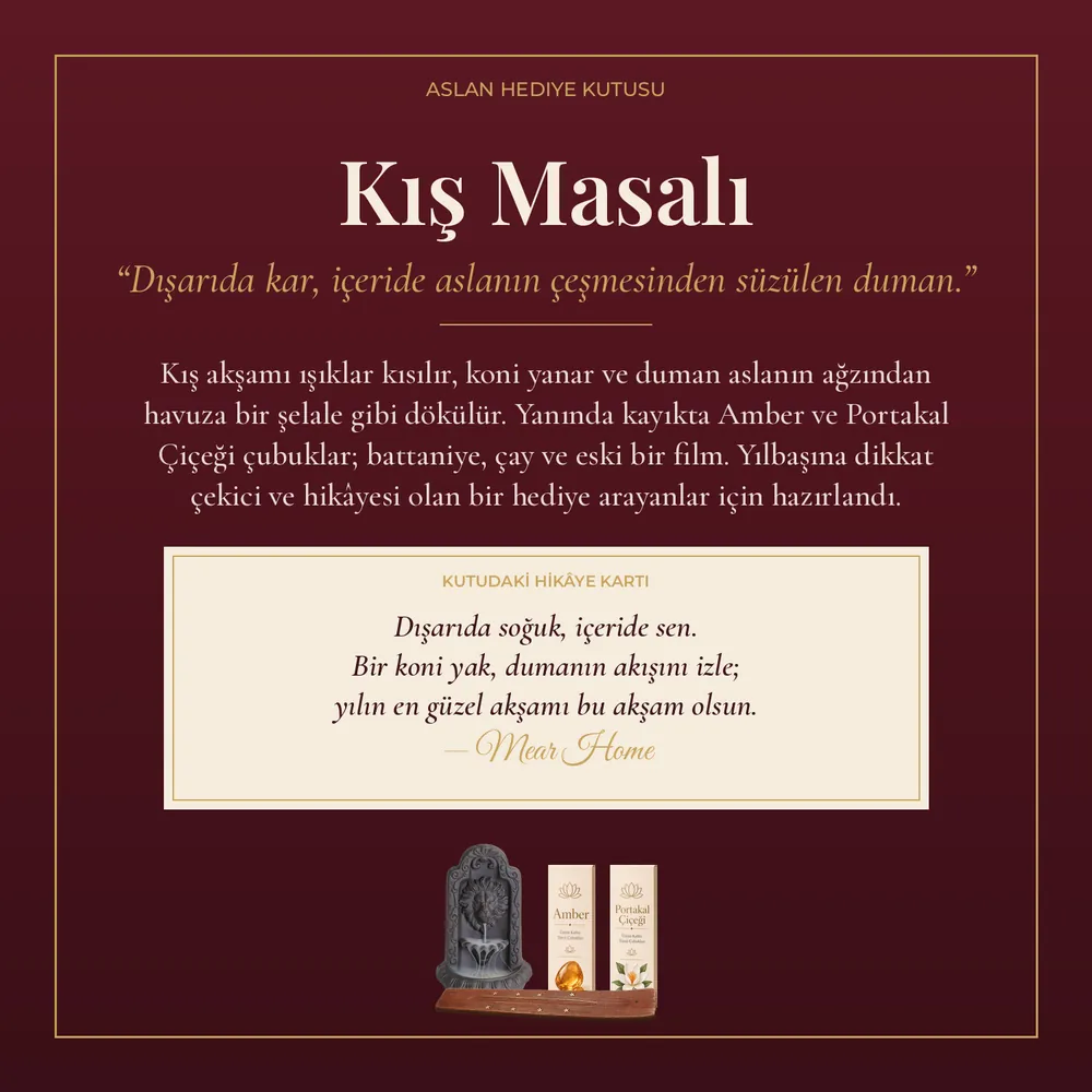 Kış Masalı Aslan Hediye Kutusu · görsel 2