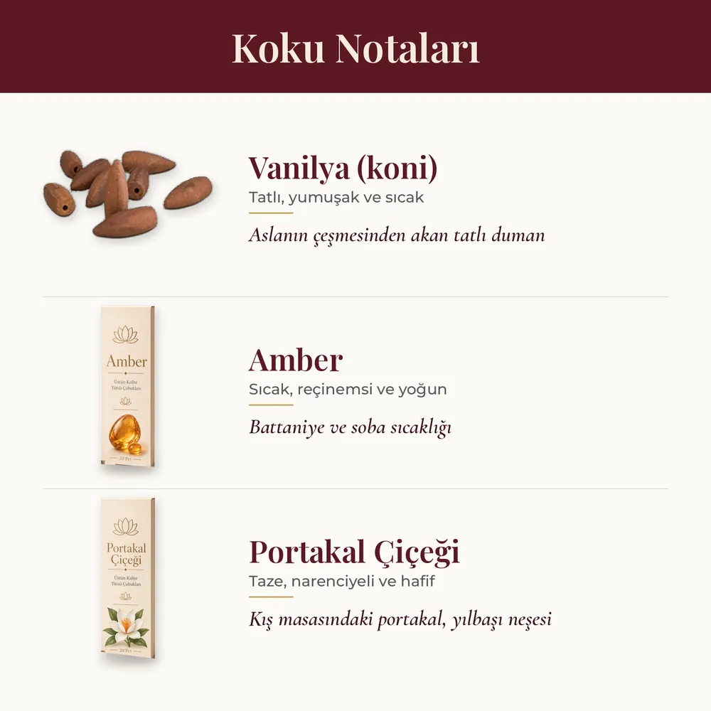 Kış Masalı Aslan Hediye Kutusu · görsel 4