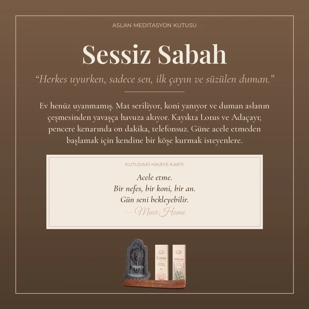 Sessiz Sabah Aslan Kutusu · görsel 2