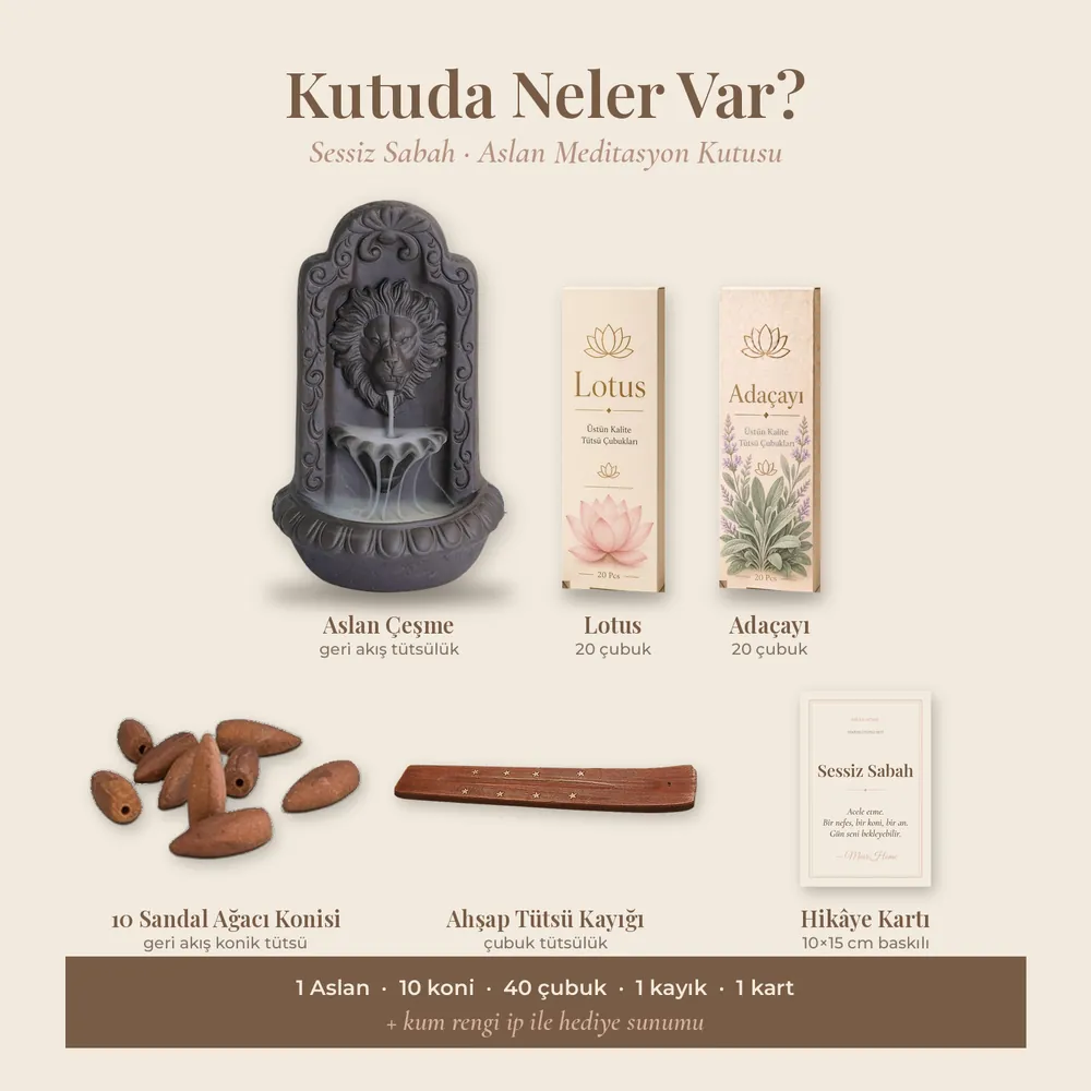 Sessiz Sabah Aslan Kutusu · görsel 3
