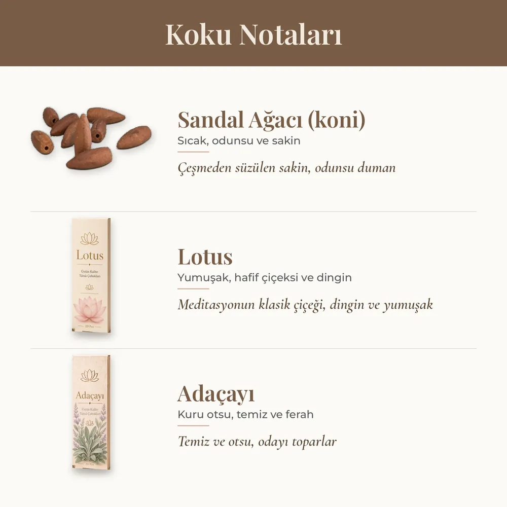 Sessiz Sabah Aslan Kutusu · görsel 4
